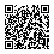 QR code linking to https://deploy-preview-3209--gohugoio.netlify.app/functions/openapi3/