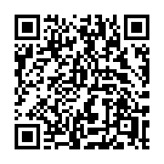 QR code linking to https://deploy-preview-3209--gohugoio.netlify.app/functions/urls/urlize/